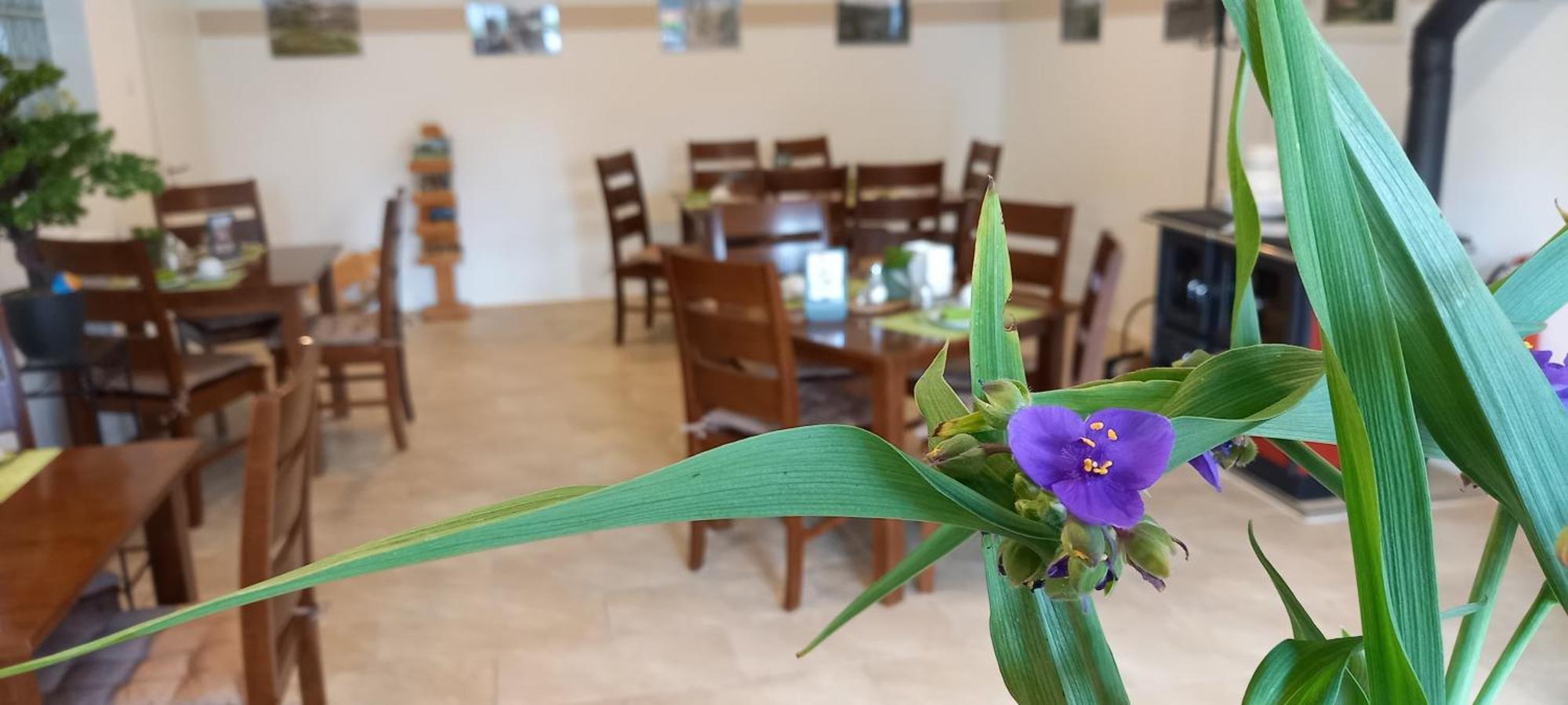 Gaestehaus Wohngut Eisenach Zewnętrze zdjęcie